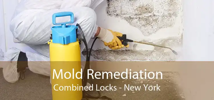 Mold Remediation Combined Locks - New York