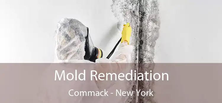 Mold Remediation Commack - New York