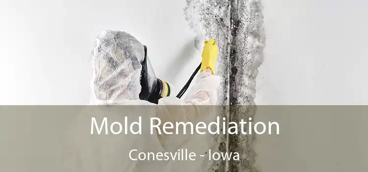 Mold Remediation Conesville - Iowa