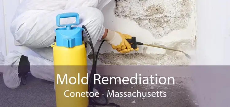 Mold Remediation Conetoe - Massachusetts