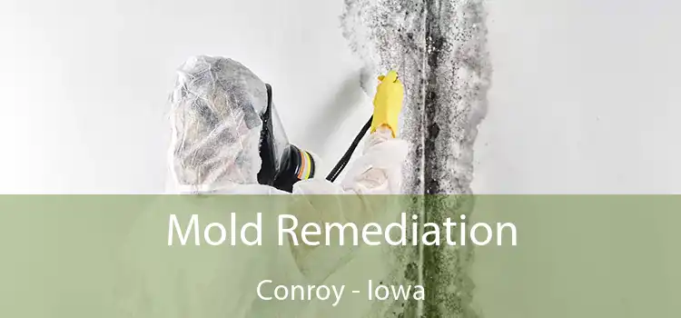 Mold Remediation Conroy - Iowa