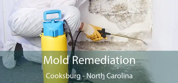 Mold Remediation Cooksburg - North Carolina