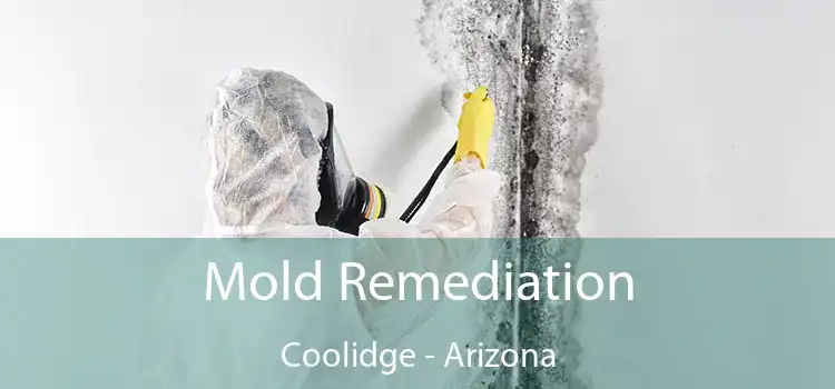 Mold Remediation Coolidge - Arizona