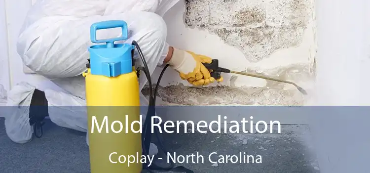 Mold Remediation Coplay - North Carolina