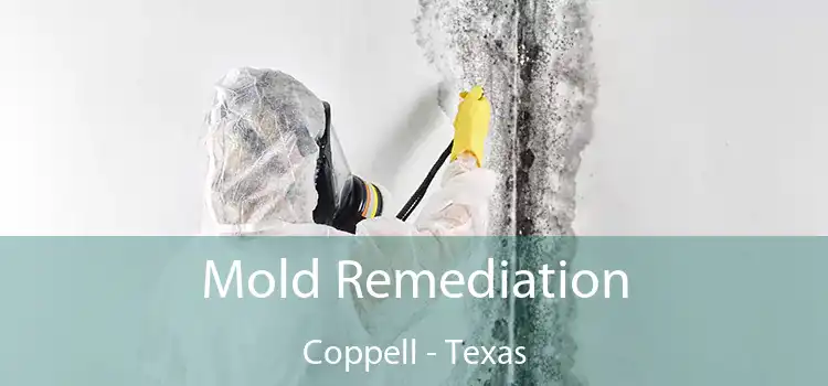 Mold Remediation Coppell - Texas