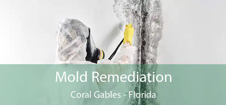 Mold Remediation Coral Gables - Florida