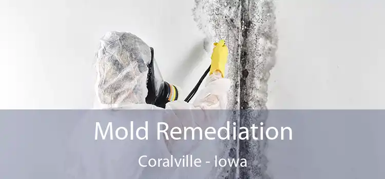 Mold Remediation Coralville - Iowa