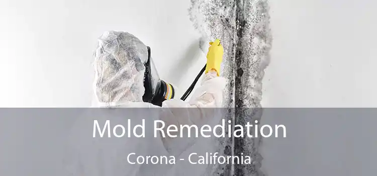 Mold Remediation Corona - California