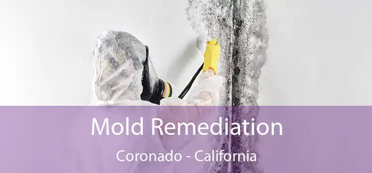 Mold Remediation Coronado - California