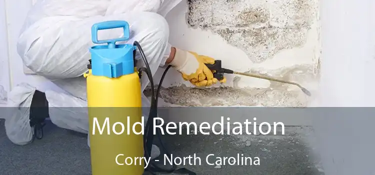 Mold Remediation Corry - North Carolina