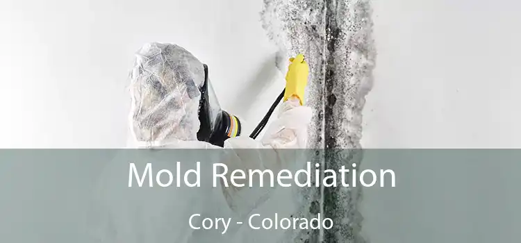 Mold Remediation Cory - Colorado