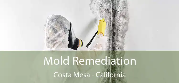 Mold Remediation Costa Mesa - California