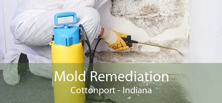 Mold Remediation Cottonport - Indiana