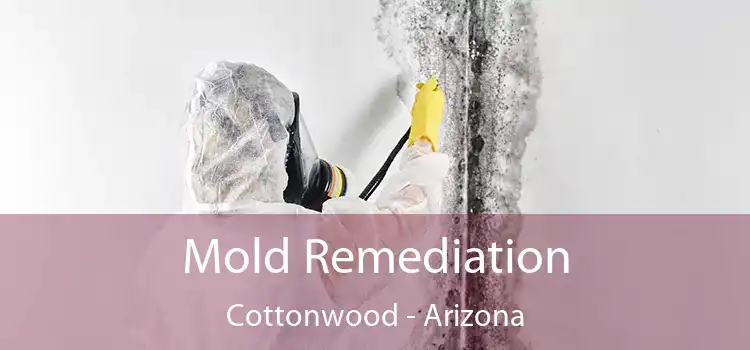 Mold Remediation Cottonwood - Arizona