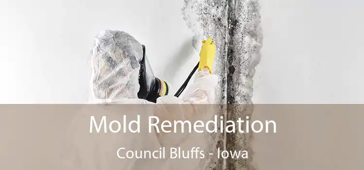 Mold Remediation Council Bluffs - Iowa