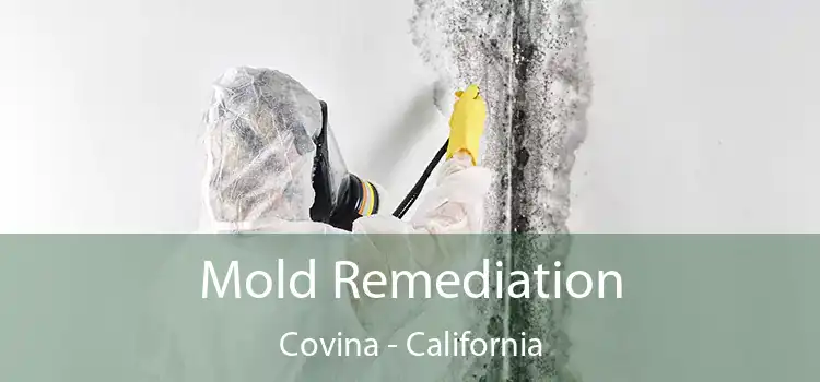 Mold Remediation Covina - California