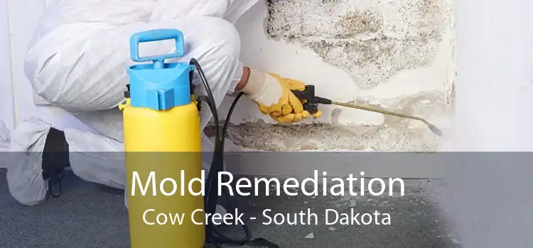 Mold Remediation Cow Creek - South Dakota