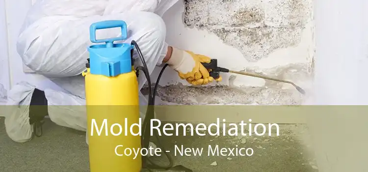 Mold Remediation Coyote - New Mexico