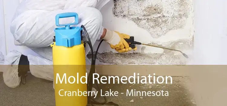 Mold Remediation Cranberry Lake - Minnesota