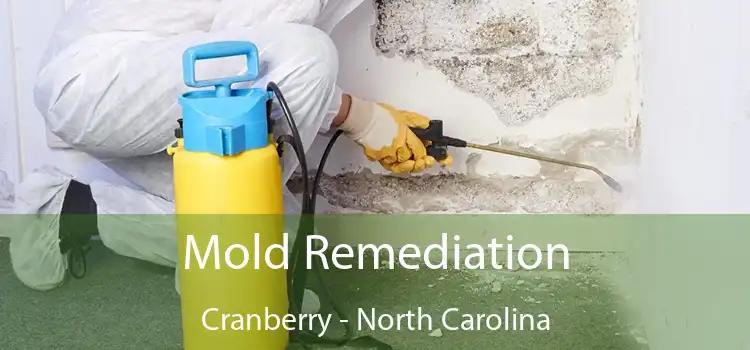 Mold Remediation Cranberry - North Carolina