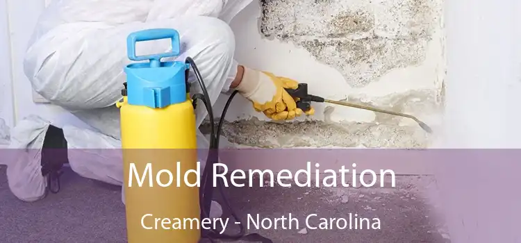 Mold Remediation Creamery - North Carolina