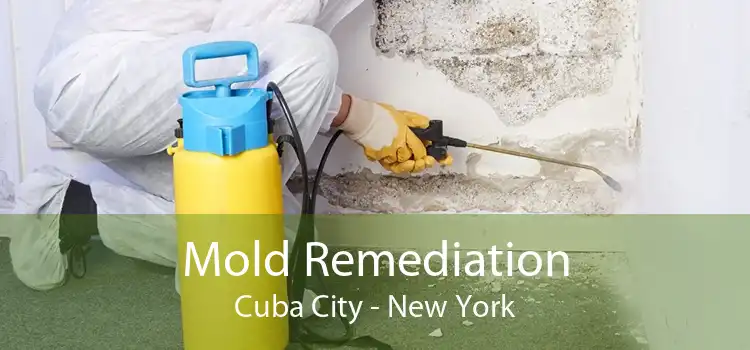 Mold Remediation Cuba City - New York