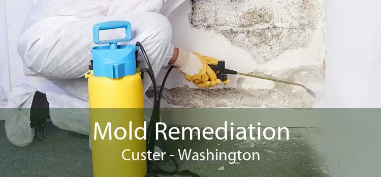 Mold Remediation Custer - Washington