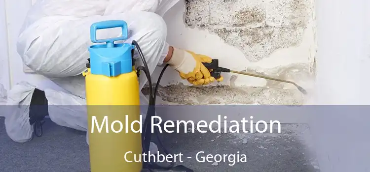 Mold Remediation Cuthbert - Georgia