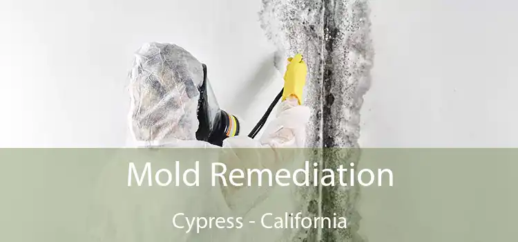 Mold Remediation Cypress - California