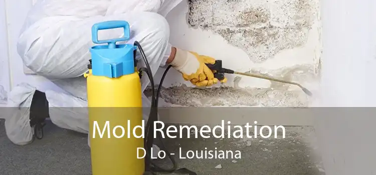 Mold Remediation D Lo - Louisiana