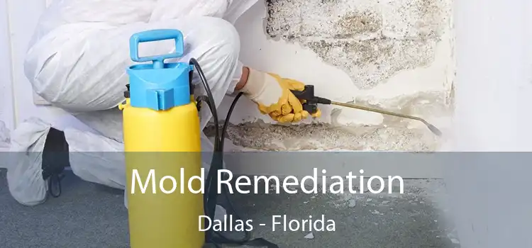 Mold Remediation Dallas - Florida