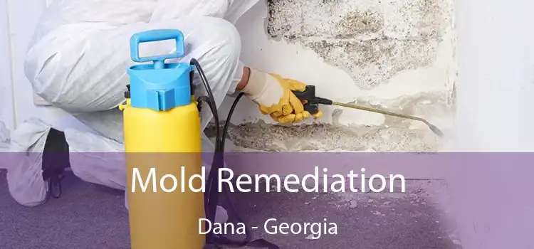 Mold Remediation Dana - Georgia