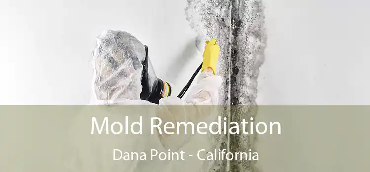 Mold Remediation Dana Point - California