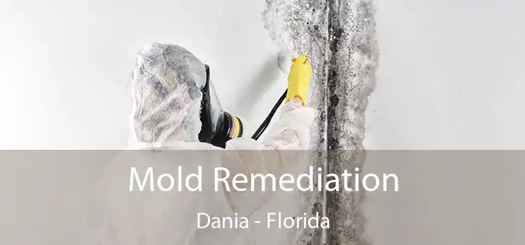 Mold Remediation Dania - Florida