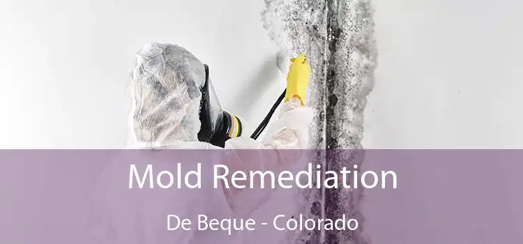 Mold Remediation De Beque - Colorado