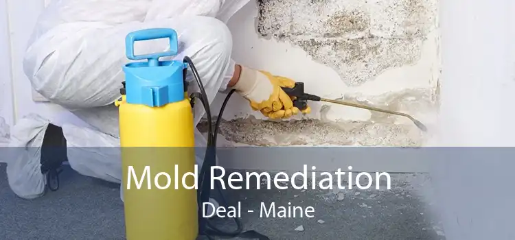 Mold Remediation Deal - Maine