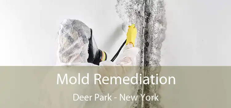 Mold Remediation Deer Park - New York