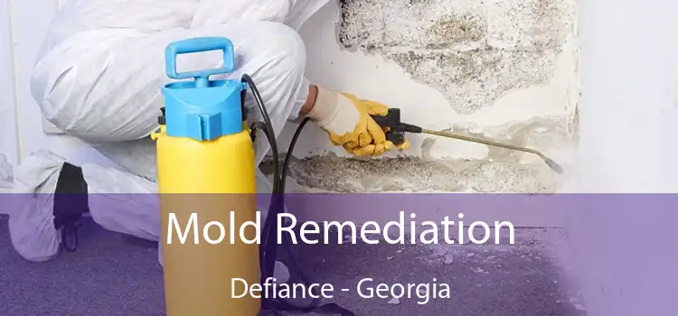 Mold Remediation Defiance - Georgia