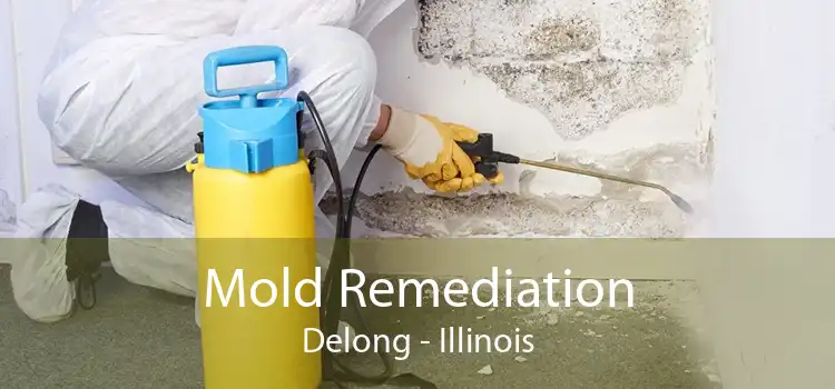 Mold Remediation Delong - Illinois