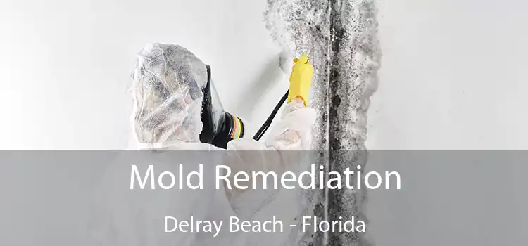 Mold Remediation Delray Beach - Florida