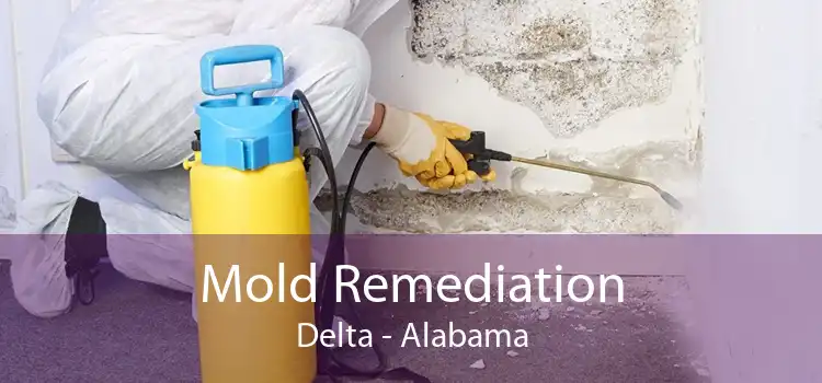Mold Remediation Delta - Alabama