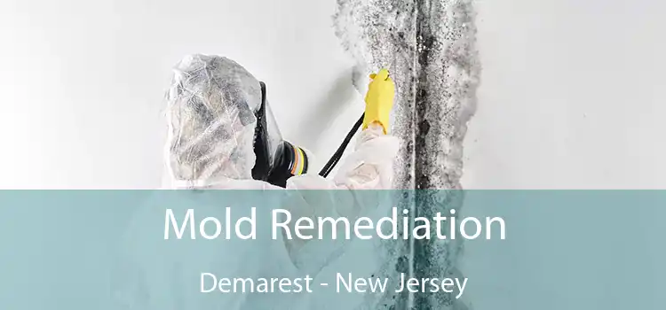 Mold Remediation Demarest - New Jersey