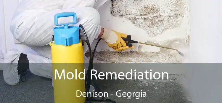 Mold Remediation Denison - Georgia