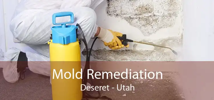 Mold Remediation Deseret - Utah
