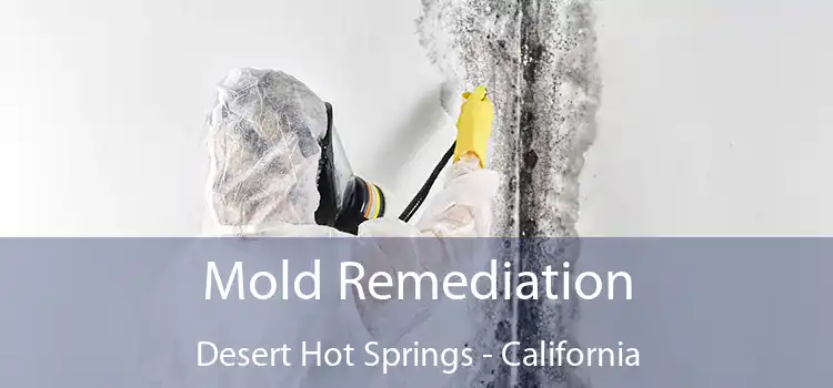 Mold Remediation Desert Hot Springs - California