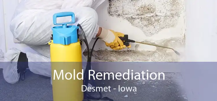 Mold Remediation Desmet - Iowa