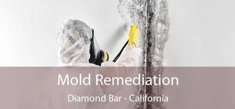 Mold Remediation Diamond Bar - California