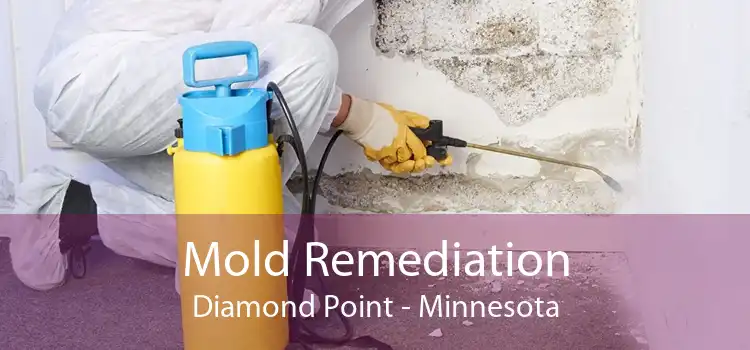 Mold Remediation Diamond Point - Minnesota