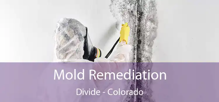 Mold Remediation Divide - Colorado