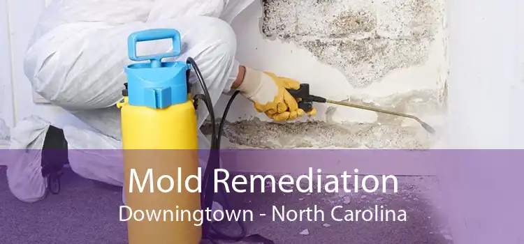 Mold Remediation Downingtown - North Carolina